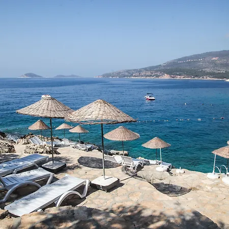 Soothe Kalkan